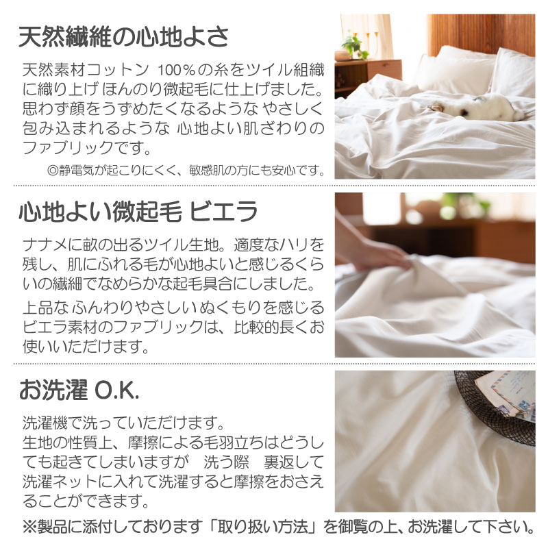 コットンビエラ