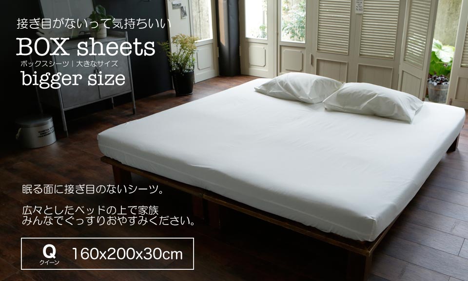 �٥åɥ�����